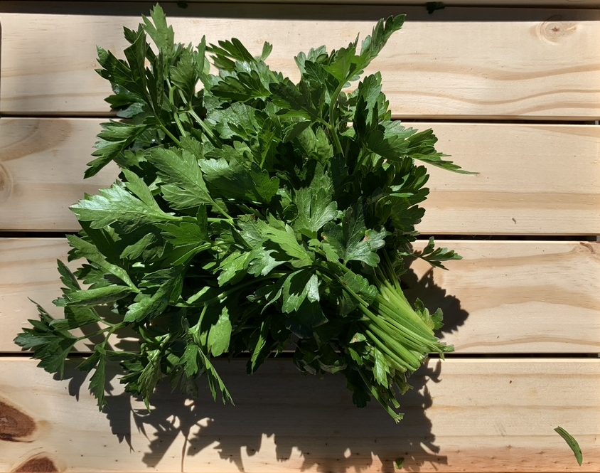 Flat Parsley Brian's Best Organics