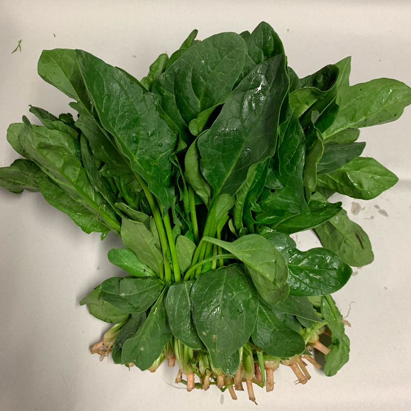 English Spinach Brian's Best Organics