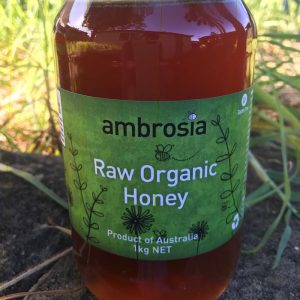 Ambrosia raw organic honey