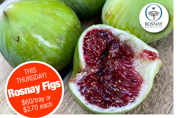 organic, biodynamic figs from Rosnay