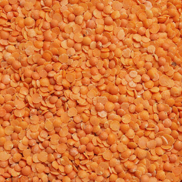 BriansBestOrganics-red-lentils